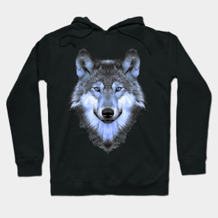 Wolfie In Blue Hoodie